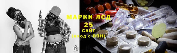 индика Волосово
