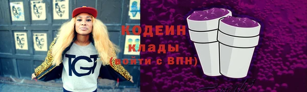 хмурый Вяземский