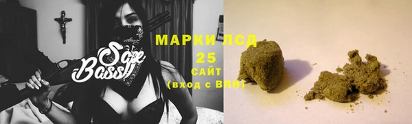 индика Волосово