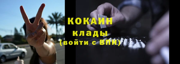 гашик Вязьма