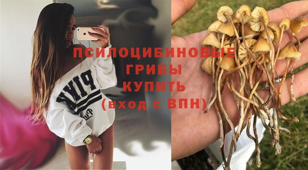 гашик Волоколамск