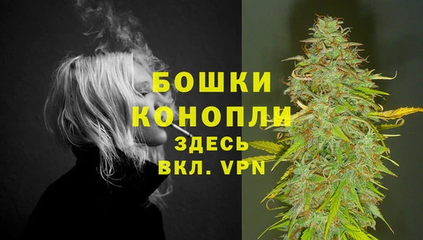 индика Волосово