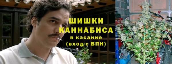 гашик Вязьма