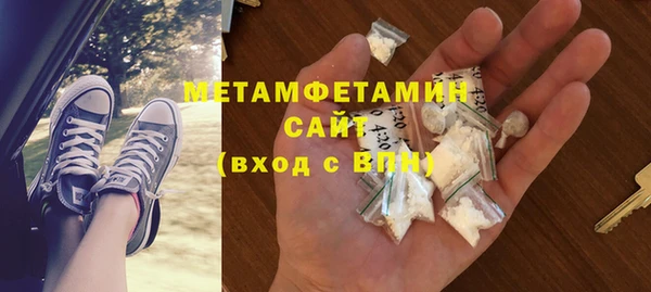 индика Волосово