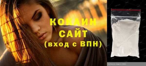 индика Волосово