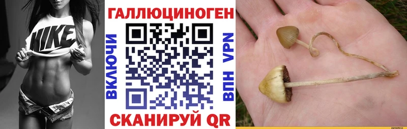 цены   Отрадный  Псилоцибиновые грибы Magic Shrooms 